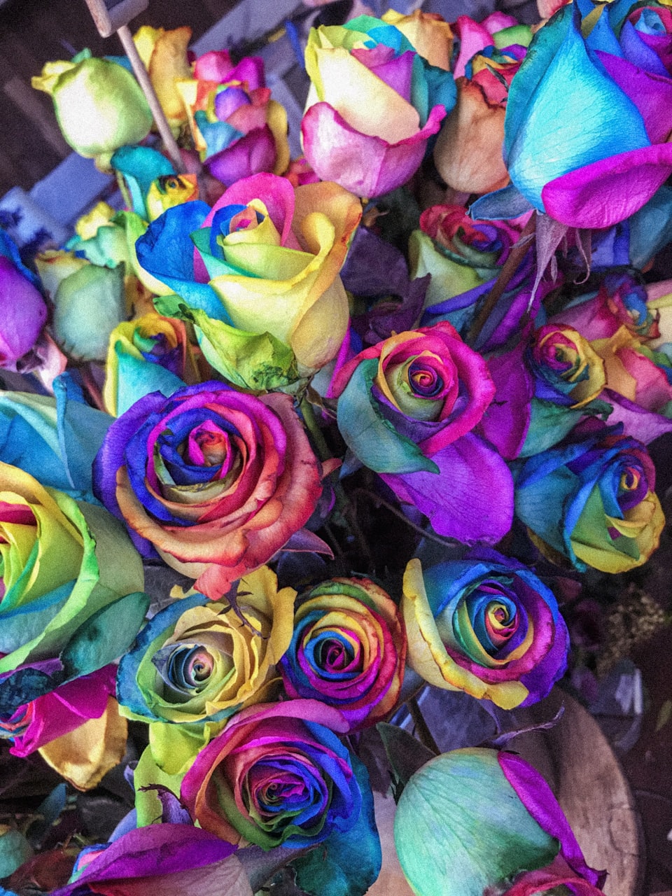 Any Rose
