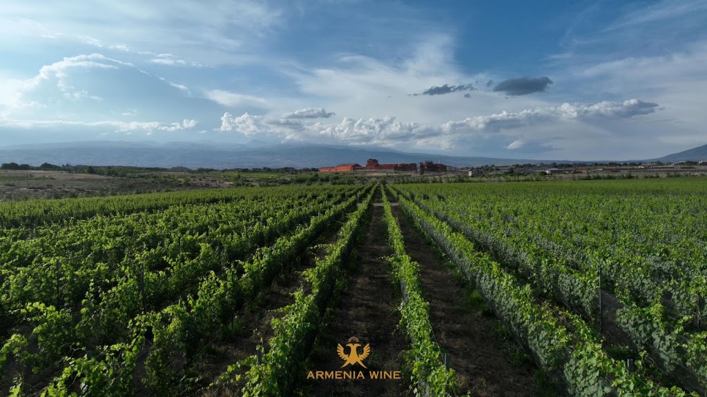Armenia Wine Factory