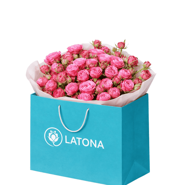 Latona Flowers & Gifts Delivery
