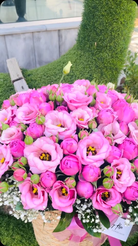 Mary Rose Flower Salon