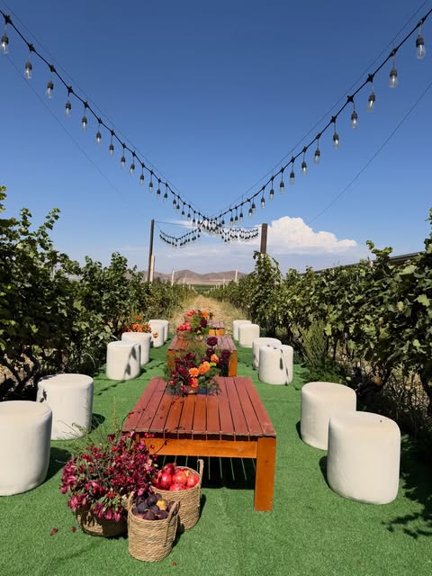 Voskeni Wines